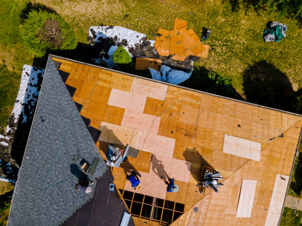 Best Roof Maintenance Services  in El Paso De Robles, CA